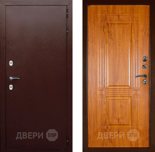 Входная металлическая Дверь Аргус Тепло-1 в Лобне