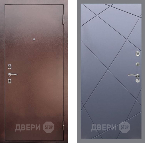 Входная металлическая Дверь Рекс (REX) 1 FL-291 Силк титан в Лобне