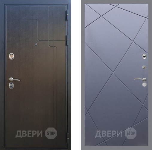 Входная металлическая Дверь Рекс (REX) Премиум-246 FL-291 Силк титан в Лобне